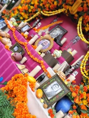 IMG20251003141020
