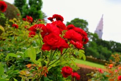 IMG_0152~2