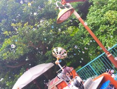 IMG20251003141715~2