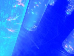 IMG20250728144223~2