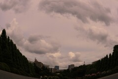 IMG_0157~2