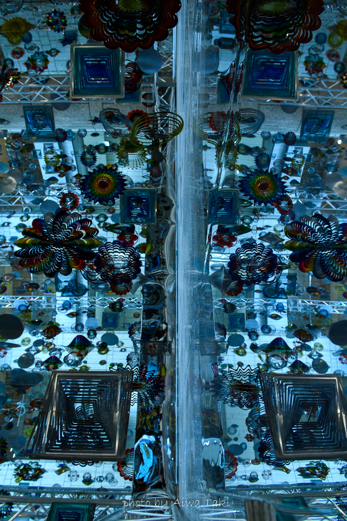 金魚と水槽