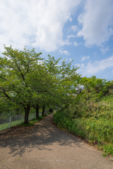 散歩