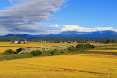 四季島　実りの秋の波を駆け分けて