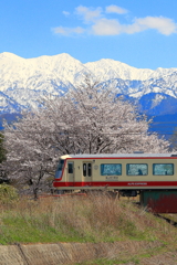 富山地鉄の春