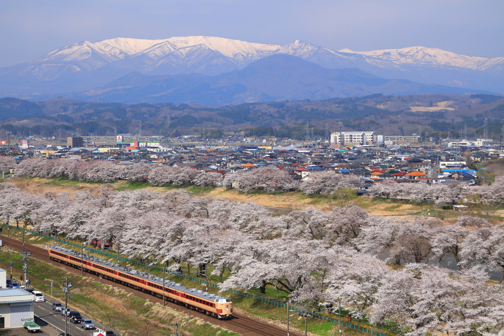 白石川堤一目千本桜と蔵王と４８５系