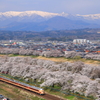 白石川堤一目千本桜と蔵王と４８５系