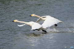 takeoff run