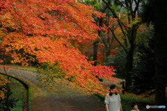 お山の公園