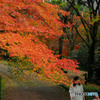 お山の公園