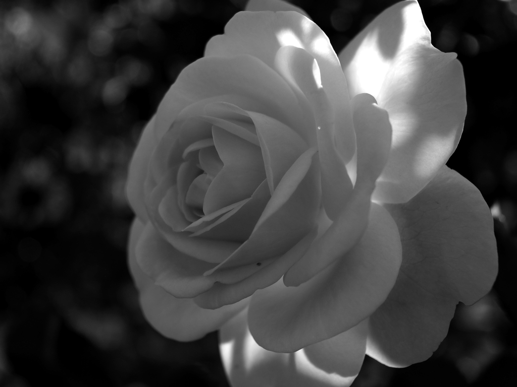 日比谷花壇大船フラワーセンター