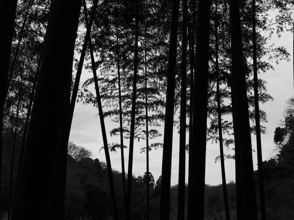 里山公園