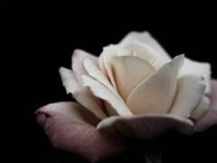 PENTACON50㎜ F1.8 MC