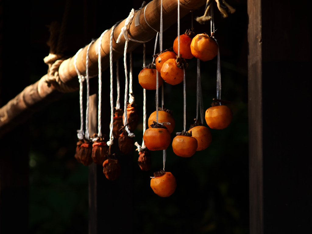 Sonnar135㎜ F4 エキザクタマウント