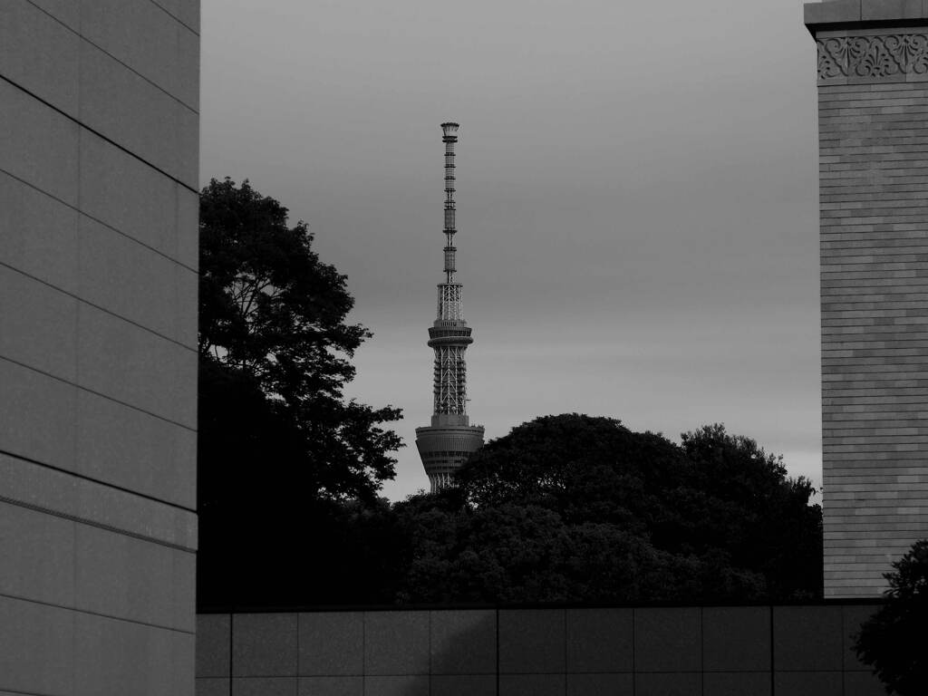 スカイツリー