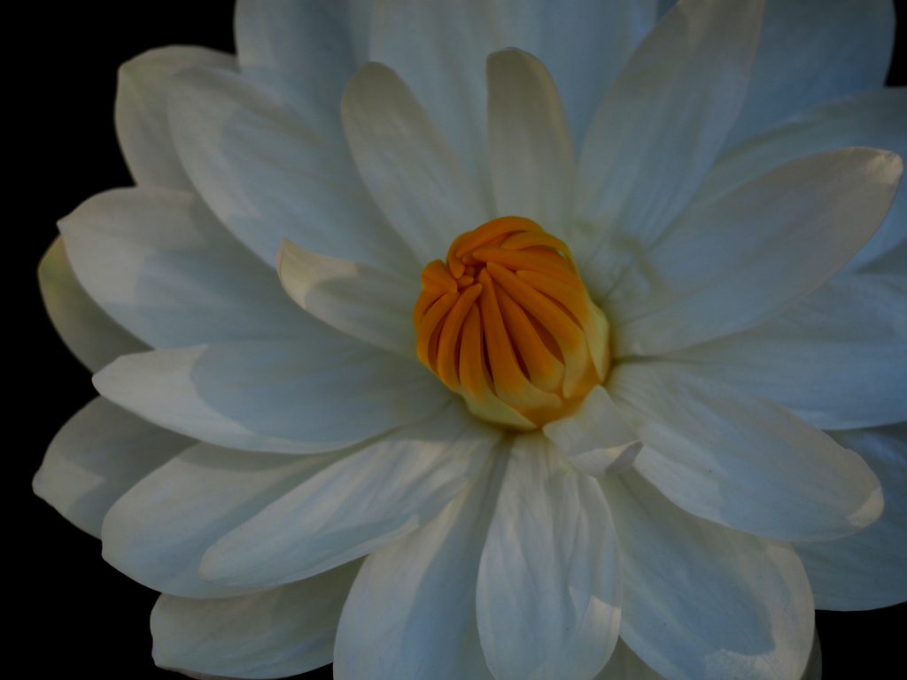 PENTACON50㎜ F1.8 MC