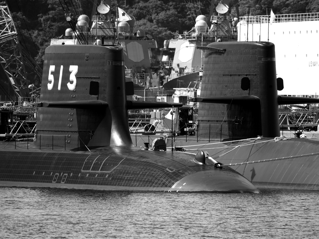 SS-513 たいげい