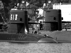 SS-513 たいげい