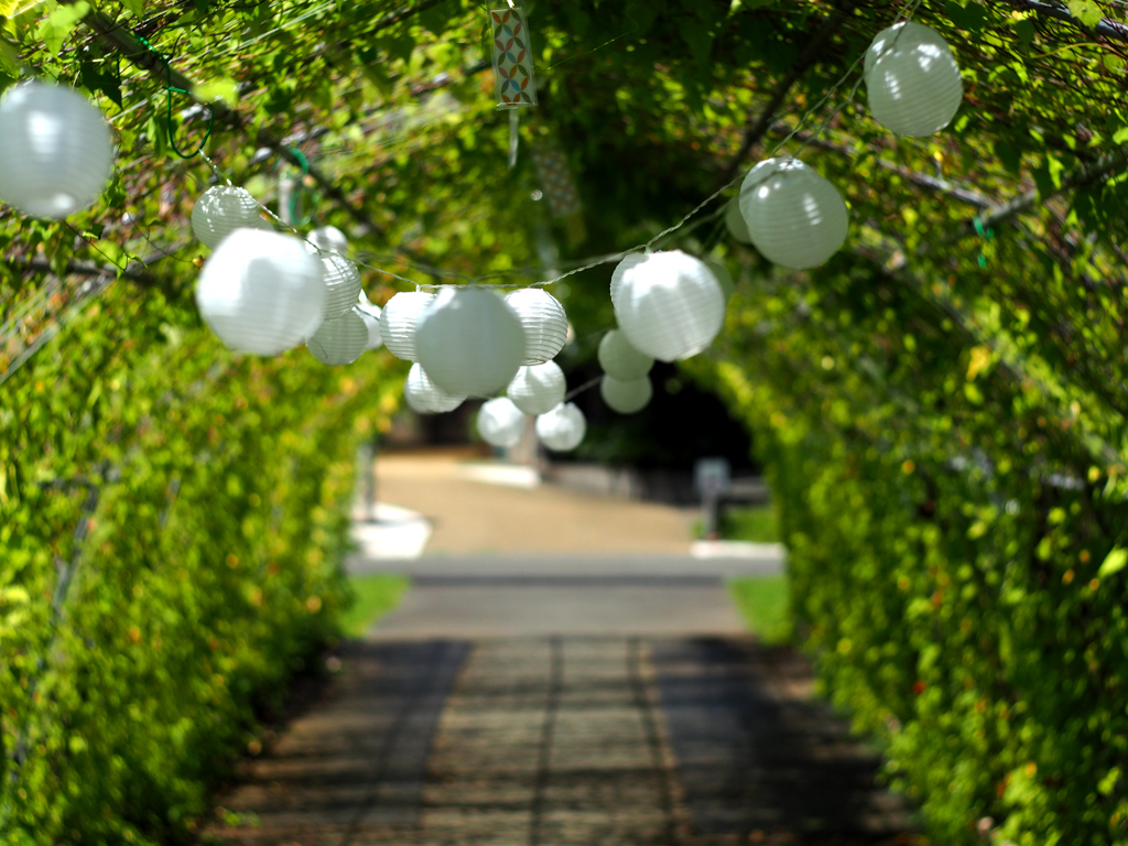 PENTACON50㎜ F1.8 MC