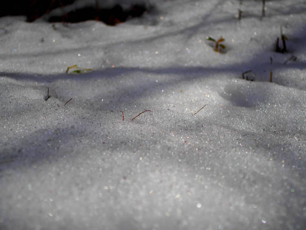雪