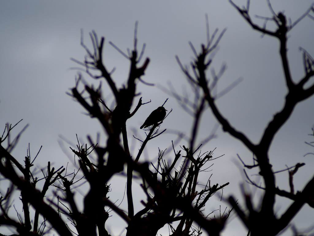 日比谷花壇大船フラワーセンター
