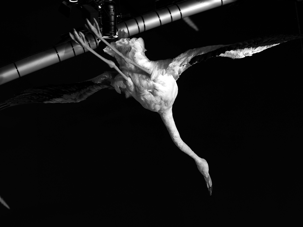 PENTACON50㎜ F1.8 MC