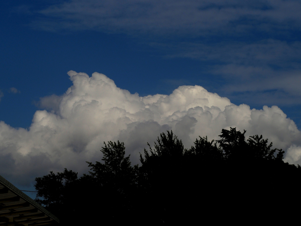 PENTACON50㎜ F1.8 MC