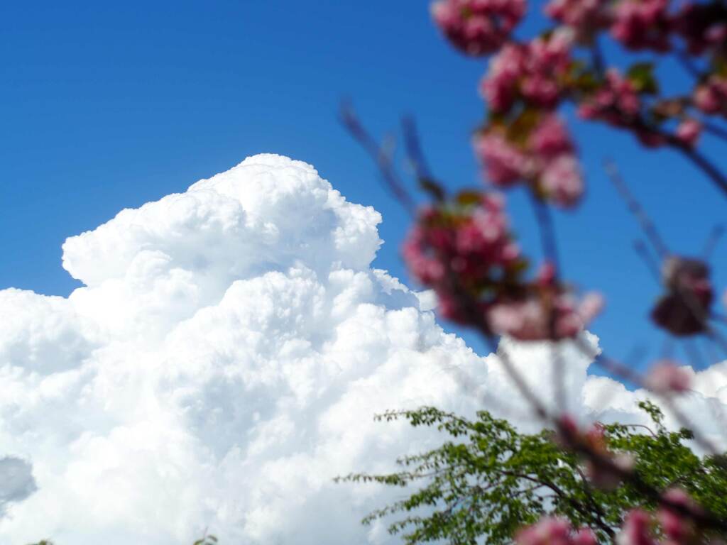 PENTACON50㎜ F1.8 MC