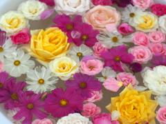 PENTACON50㎜ F1.8 MC