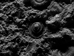 PENTACON50㎜ F1.8 MC