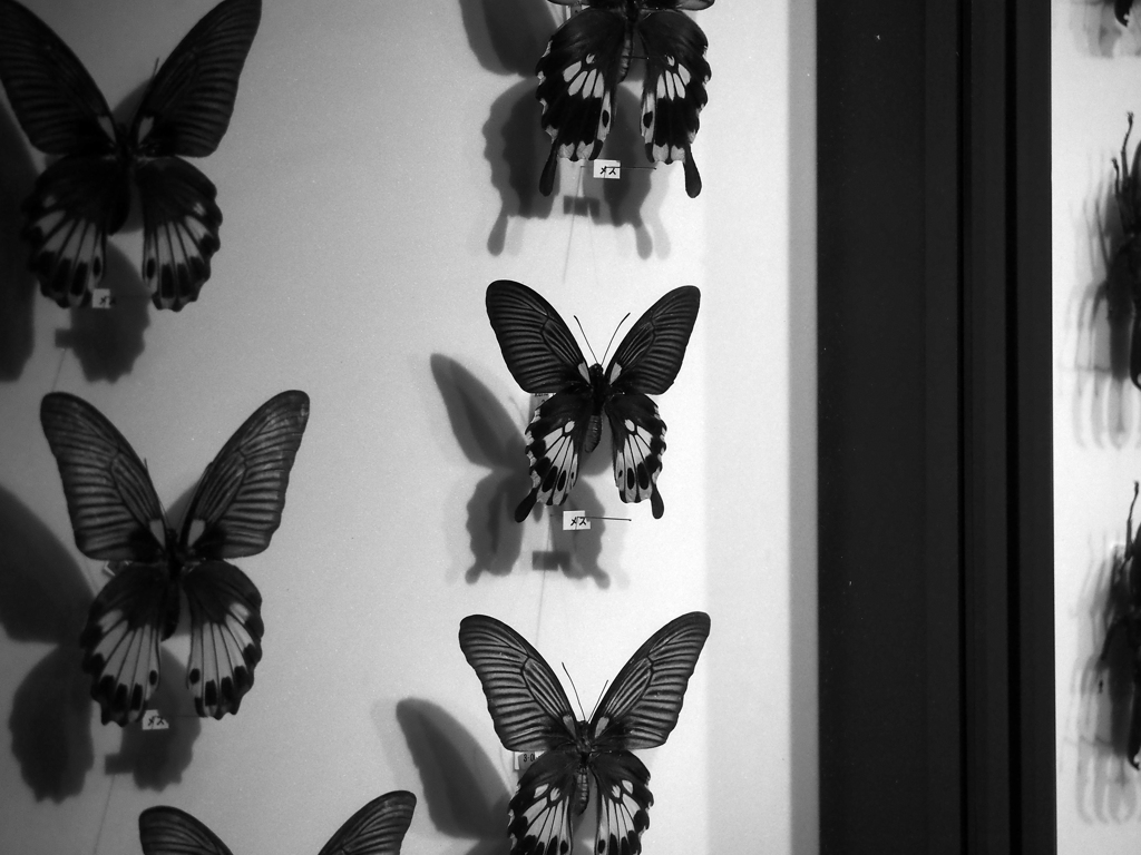 生命の星地球博物館