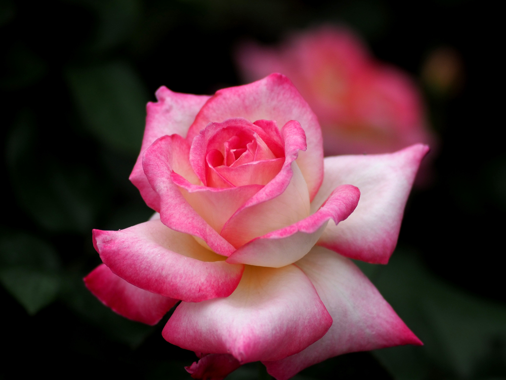 日比谷花壇大船フラワーセンター