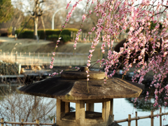 PENTACON50㎜ F1.8 MC