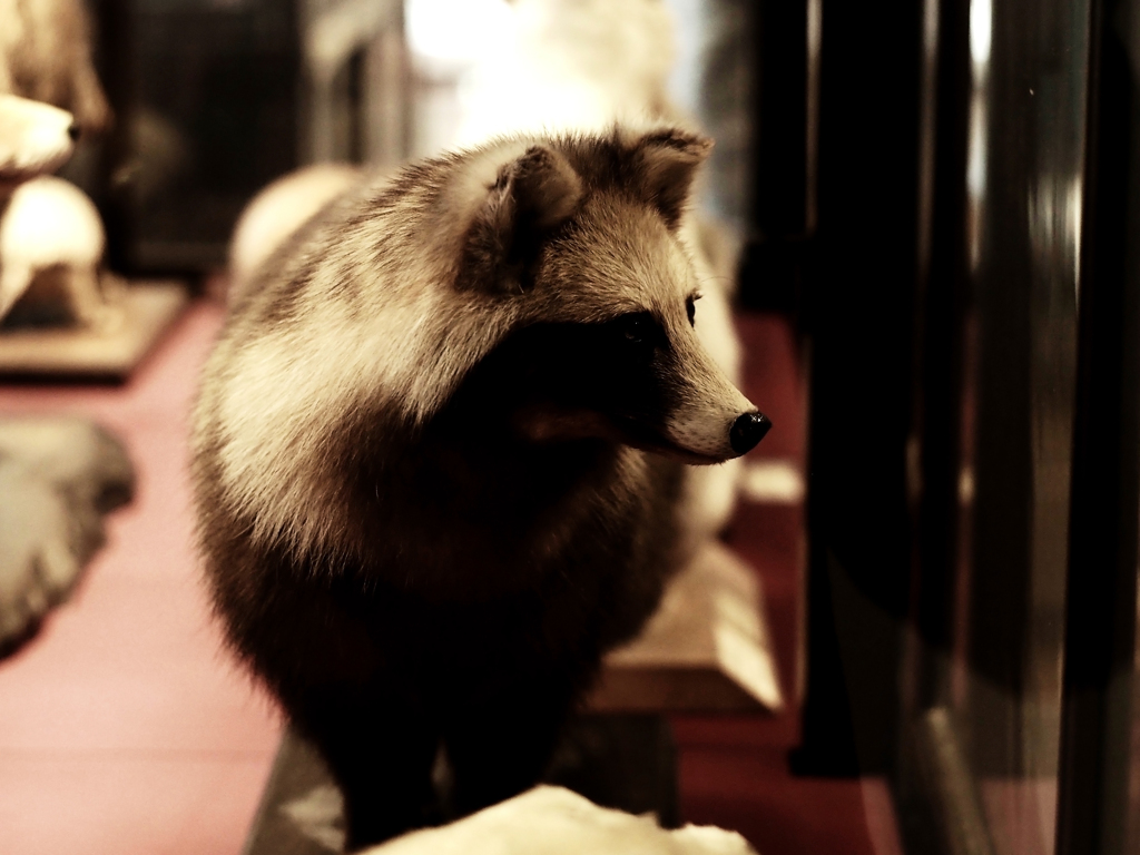 PENTACON50㎜ F1.8 MC