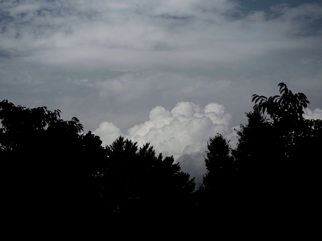 雲