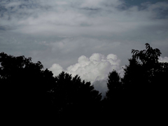 雲