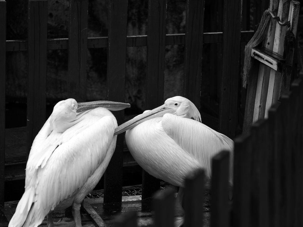 金沢動物園