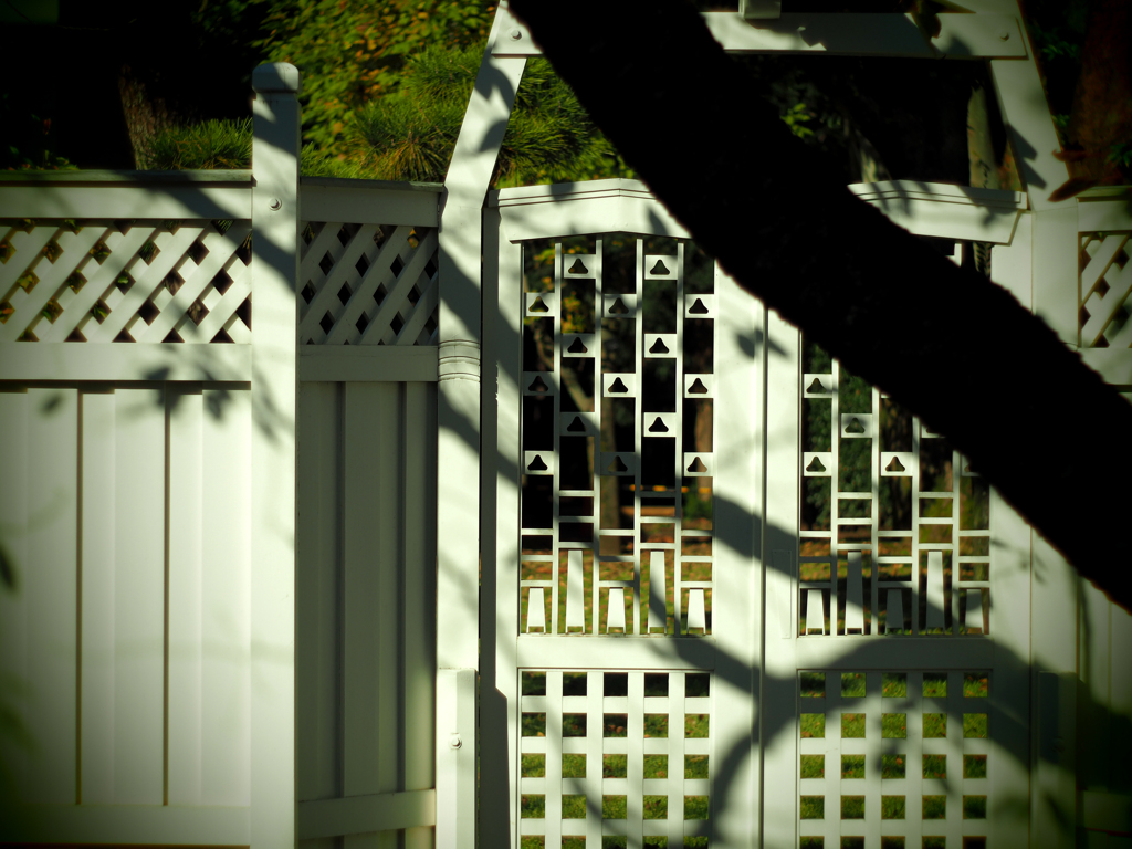 PENTACON50㎜ F1.8 MC