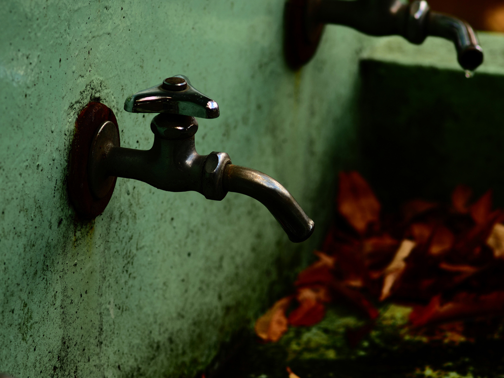 Sonnar135㎜ F4 エキザクタマウント