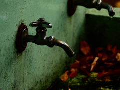 Sonnar135㎜ F4 エキザクタマウント