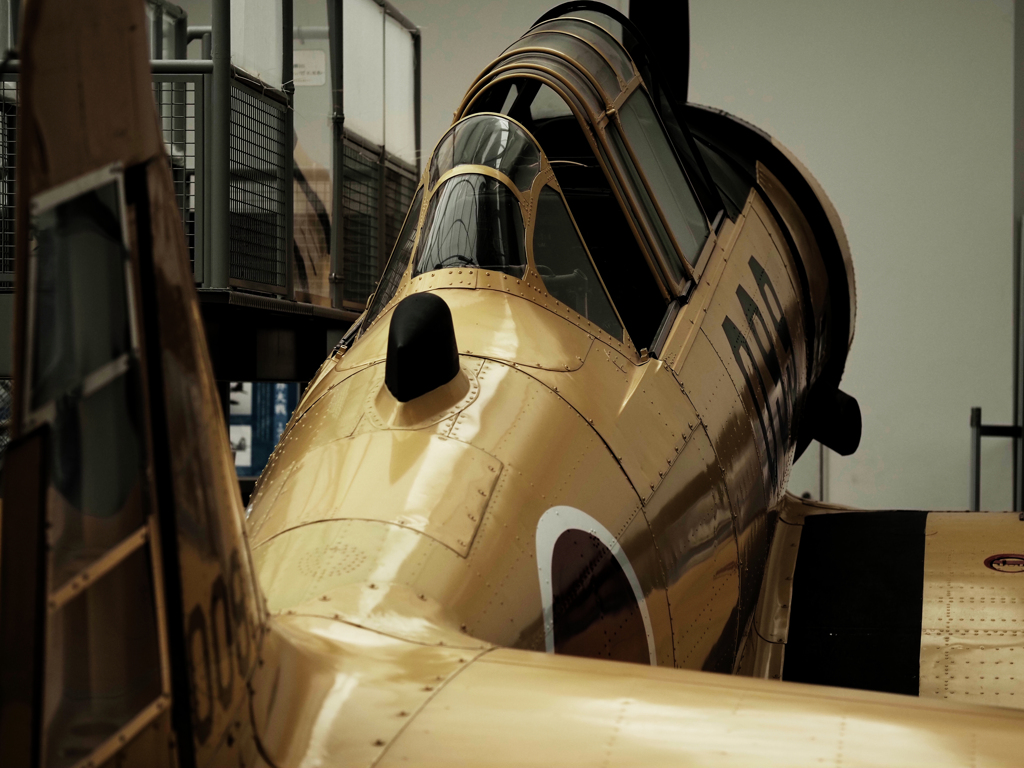 T-6G テキサン