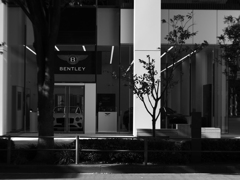 MeyerOptic Domiplan50㎜ F2.8