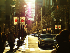 Flektogon35㎜ F2.4 MC M42マウント