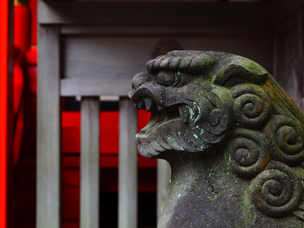 狛犬