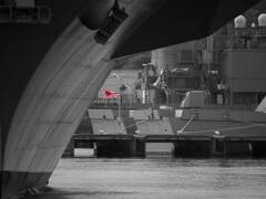 くまのとみくま