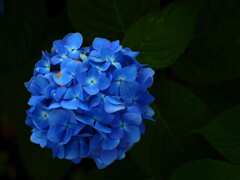 PENTACON50㎜ F1.8 MC