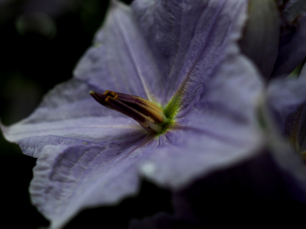 日比谷花壇大船フラワーセンター
