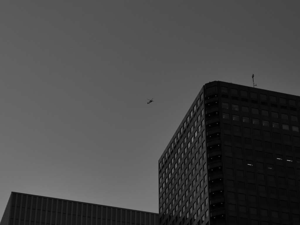 東京