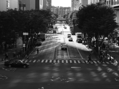 MeyerOpticDomiplan50㎜ F2.8