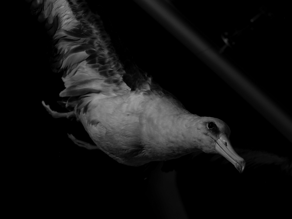 PENTACON50㎜ F1.8 MC